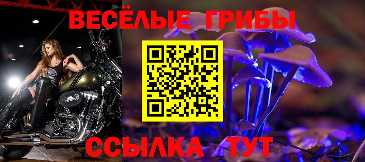 Псилоцибиновые грибы MAGIC MUSHROOMS Павлово