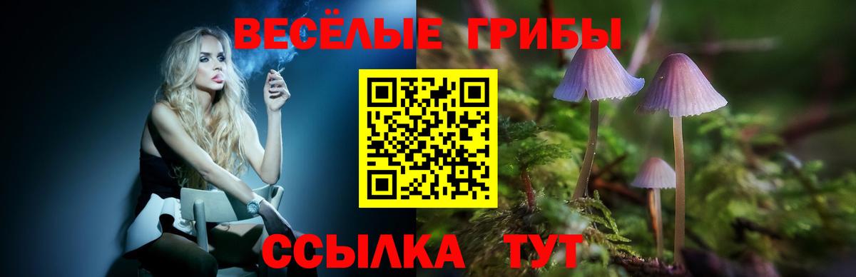 Галлюциногенные грибы мухоморы  Вход с VPN  Павлово 